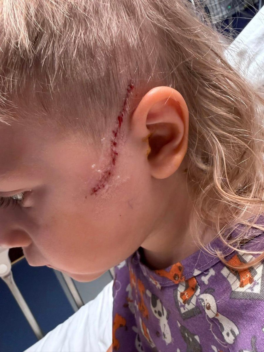 Tommy Robinson 🇬🇧 tweet media