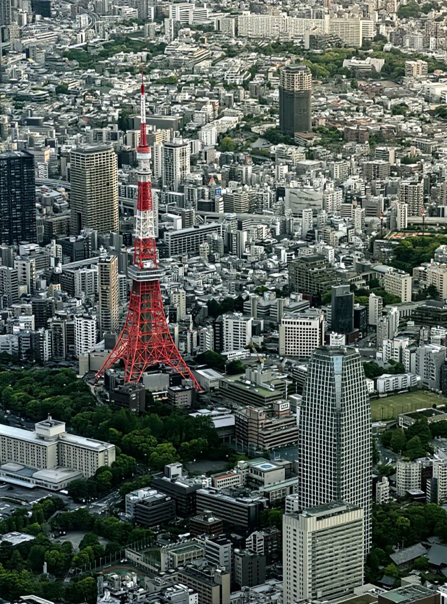 Jocaccia tweet media