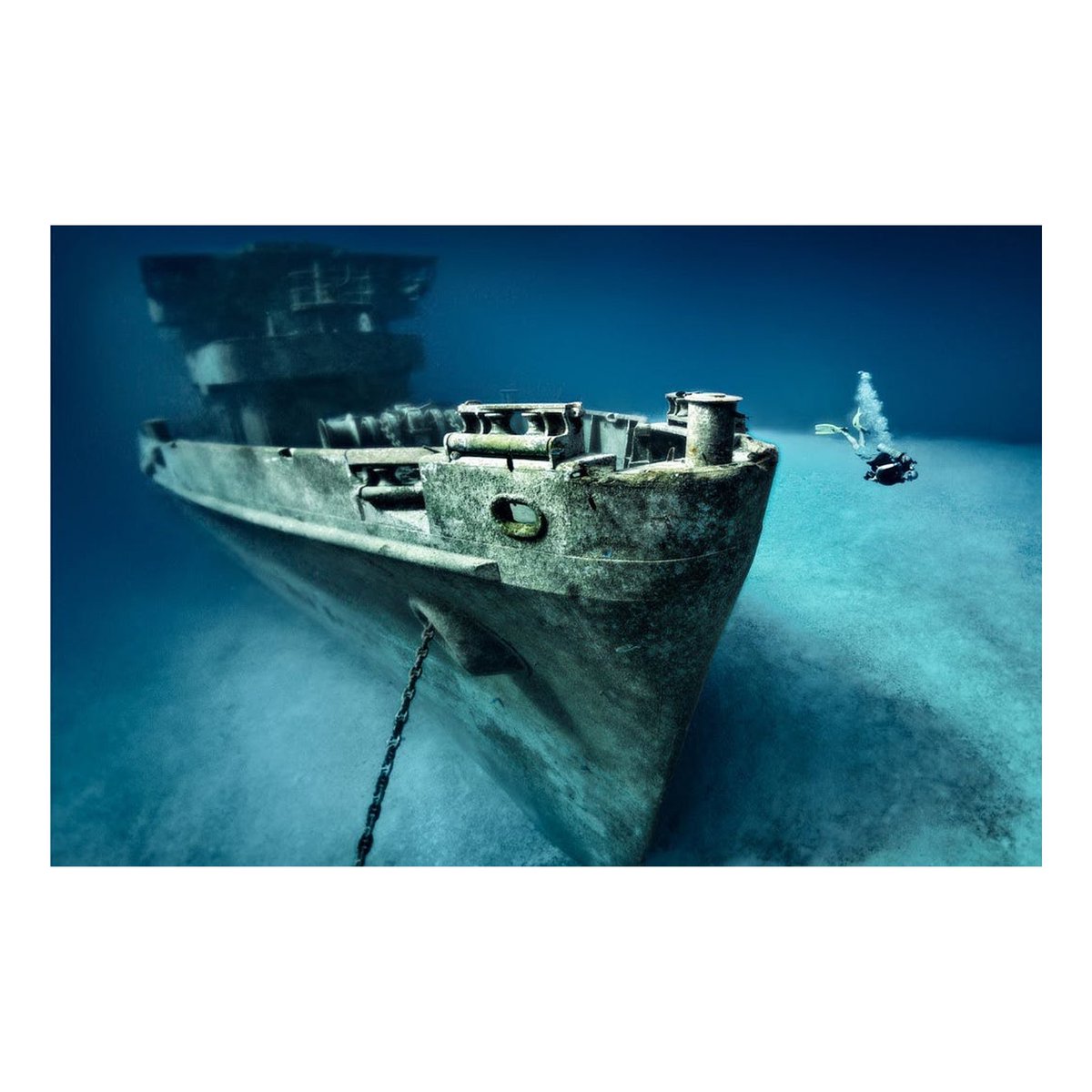 雑学をまとめる犬 tweet media