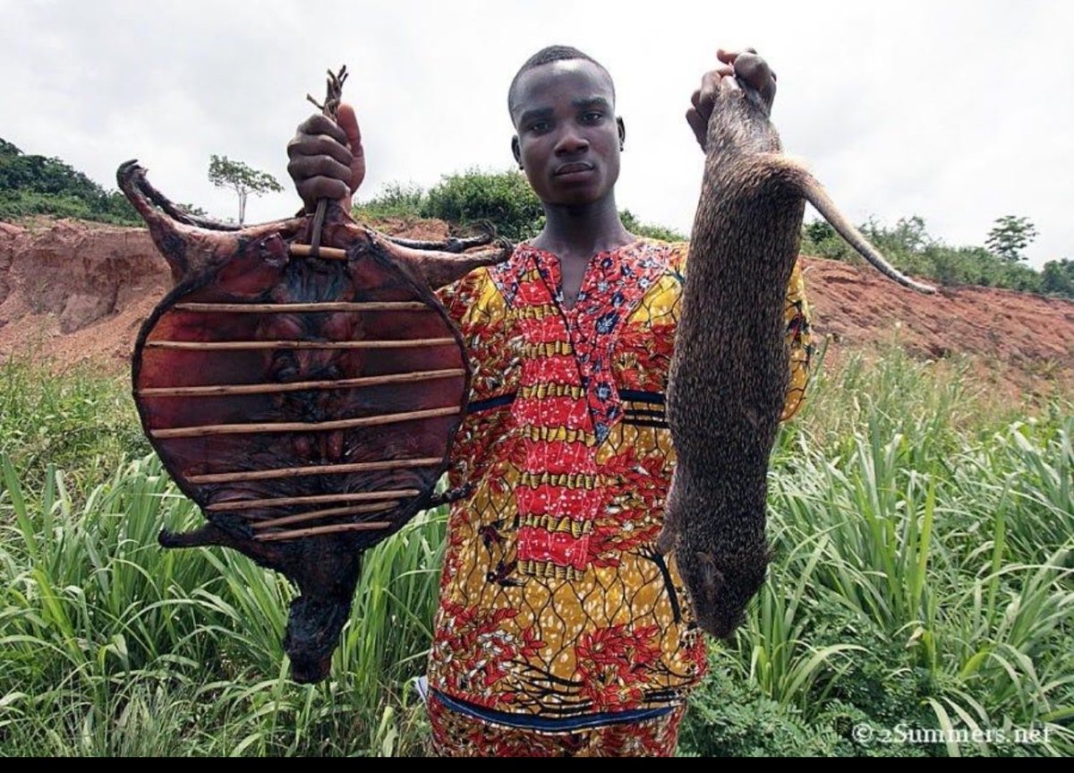 The DON 🌐 tweet media