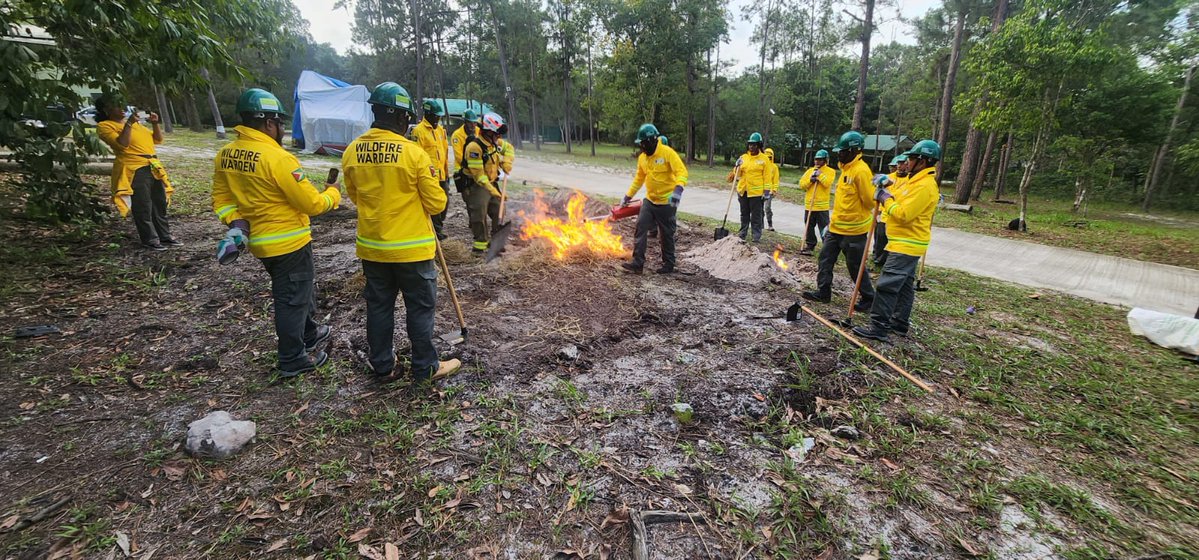 Pau Costa Foundation tweet media