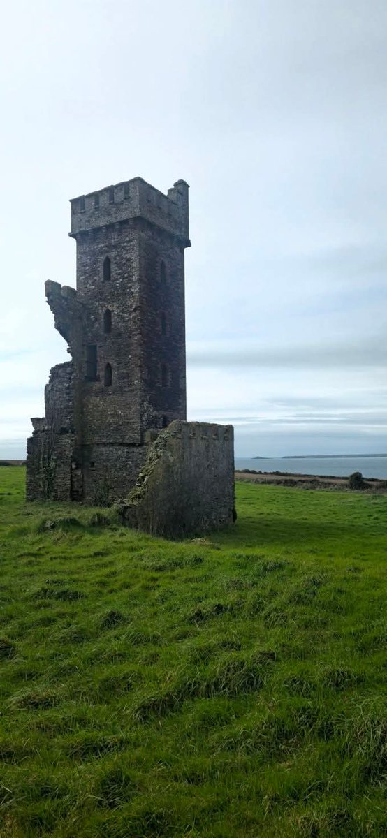 ThisIsIreland3's tweet photo. McKenna castle Goat island 🏰🏝️
📍County Waterford-Éire 🇮🇪
📸 Michael Lonergan
#Waterford #Ireland #McKennacastle
#Goatisland #Castle https://t.co/L70503cY4a