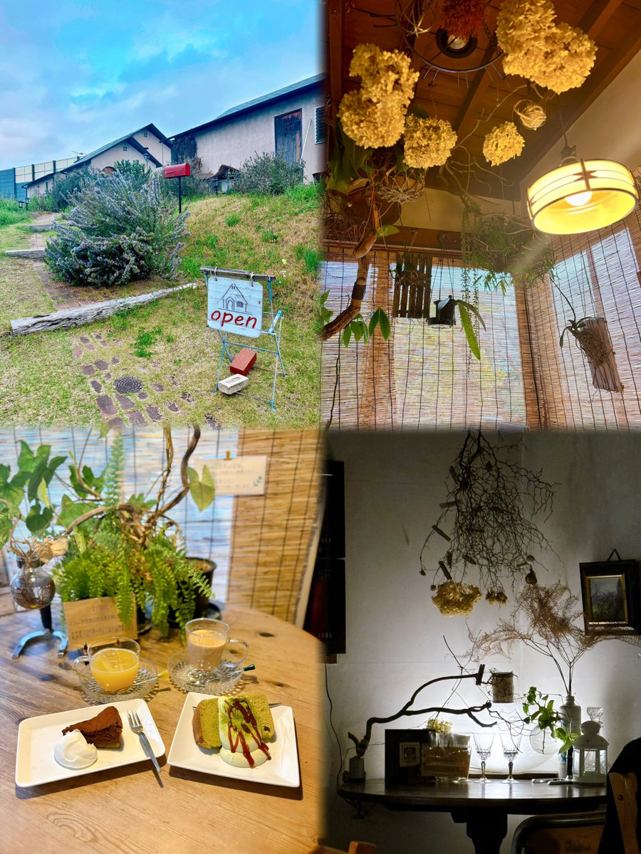 アンティーク雑貨屋さんの中にあるカフェ 
パンタリタ さん🕰
深蒸し煎茶のシフォンケーキとガトーショコラをいただきました♡静かでかわいい雑貨や植物に囲まれた空間 癒されたꫂ ၴႅၴ