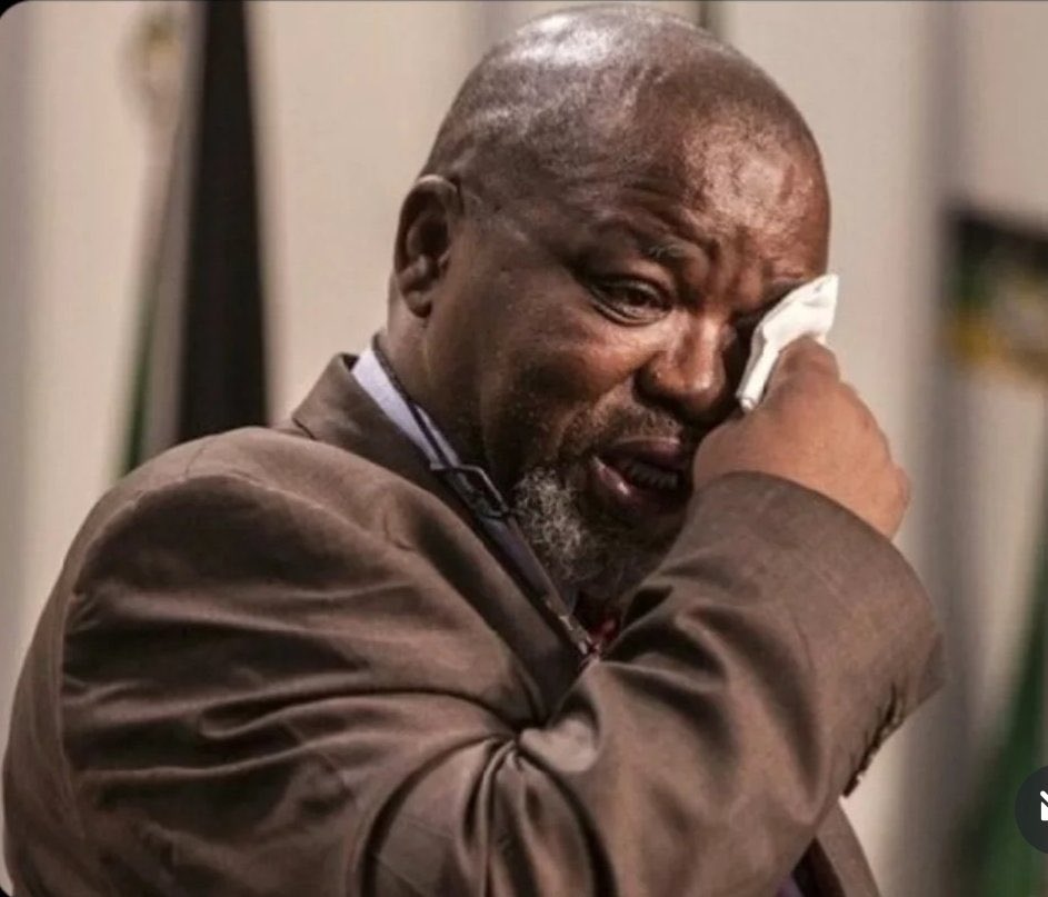 Ntshovelo Maluleke tweet media