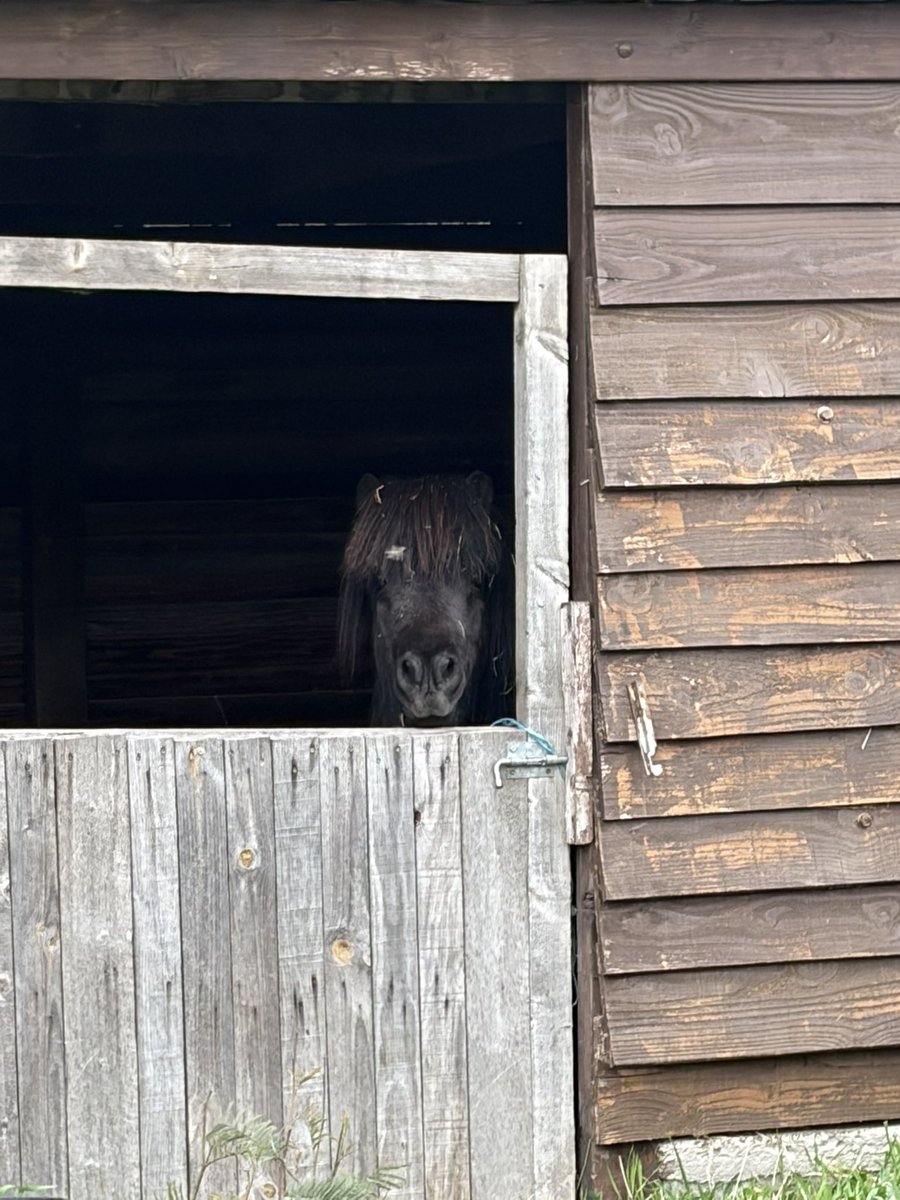 Rainy Ꙩ tweet media