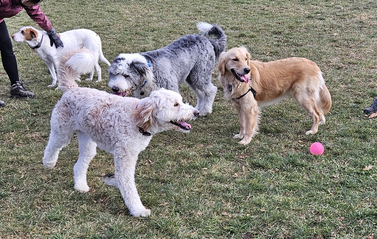 CanadianPenny1's tweet image. #CanadianPenny with frens...what a great day this was 🩷 @SkyeAdventures @CuzSully @cgbosslady1 😊 #ThrowbackThursday