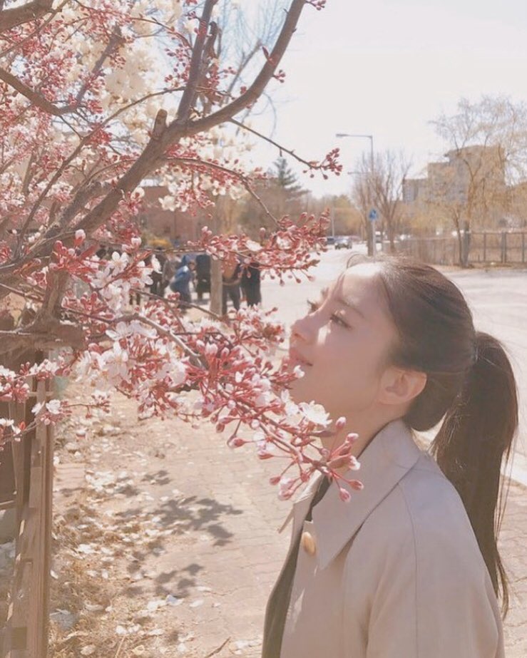 뽀세 tweet media