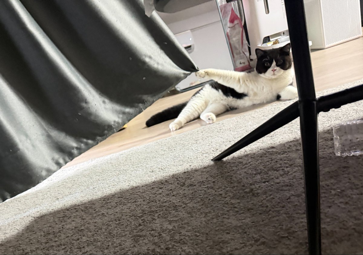 คาลิ 🌻 tweet media