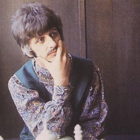 SUNNY 🔆🪲 tweet media