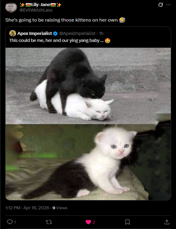 Apex Imperialist tweet media