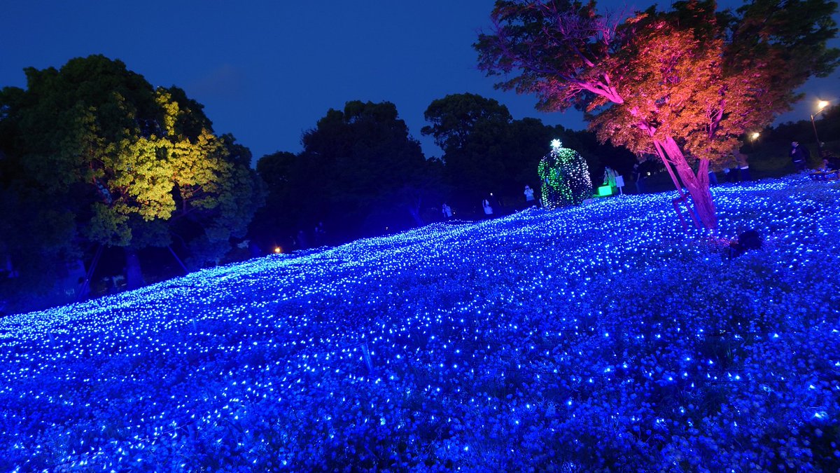 すいまめ tweet media