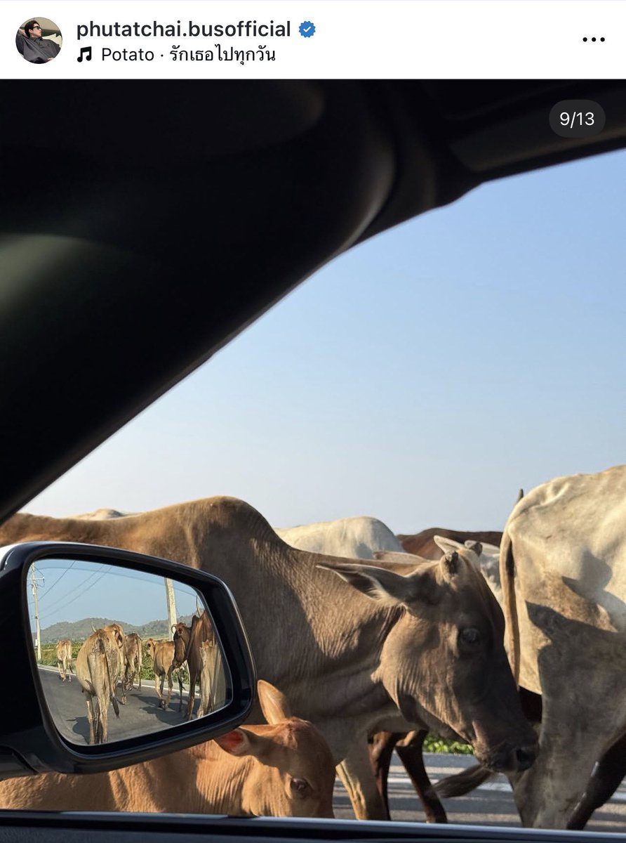 Summerrꔛ❄️ tweet media