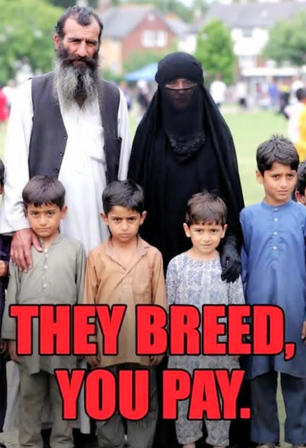 Scott Cheggs tweet media