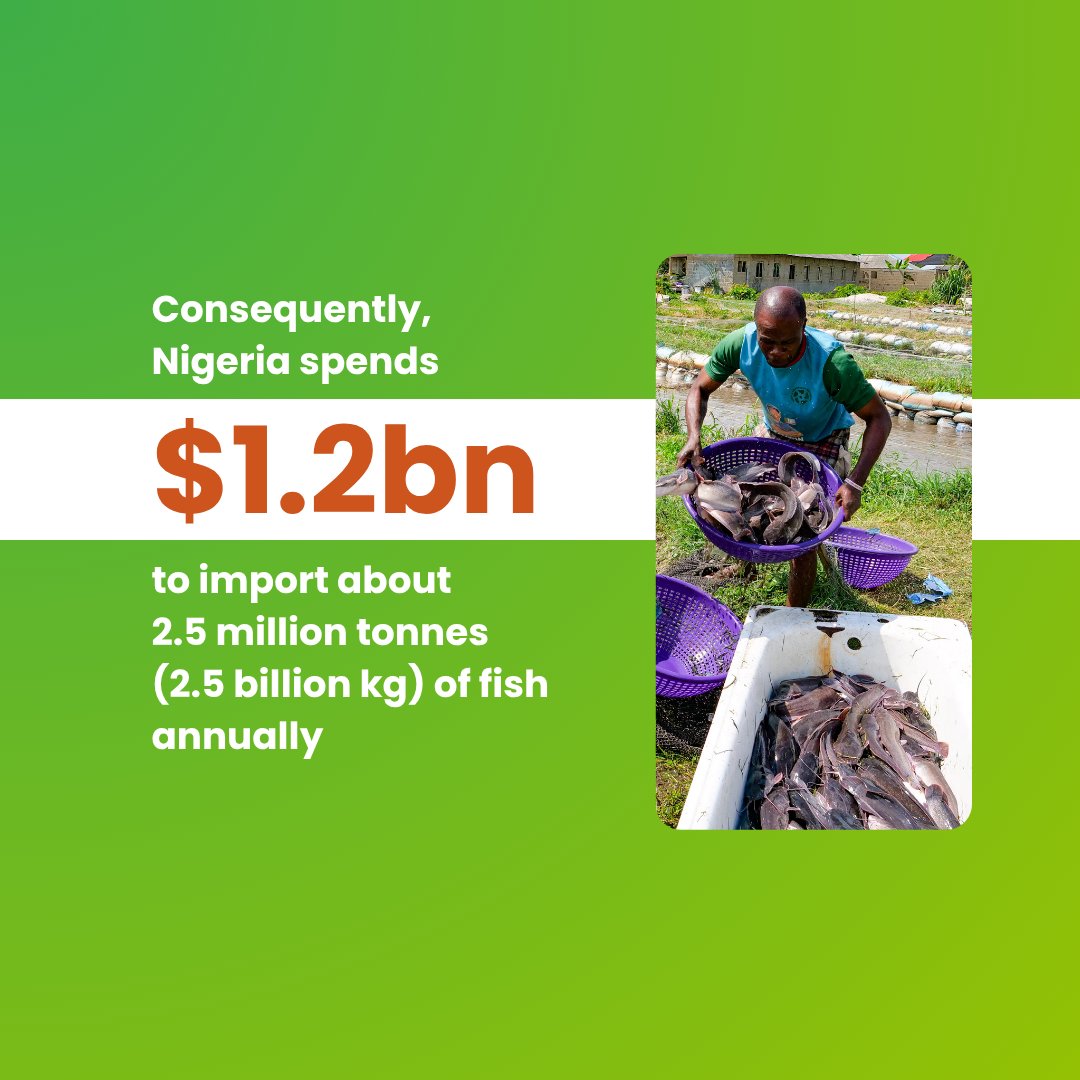 IITA Youth Agrip tweet media