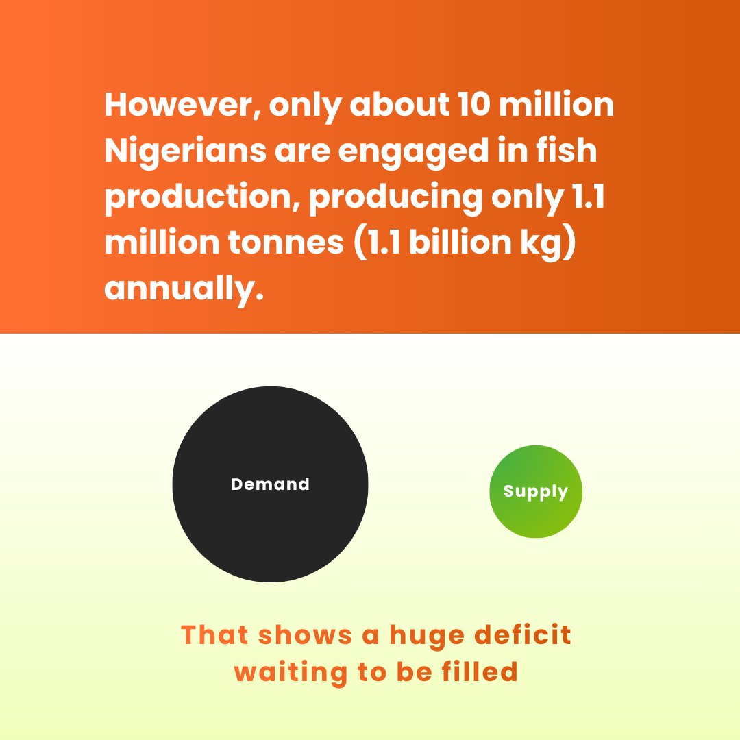 IITA Youth Agrip tweet media