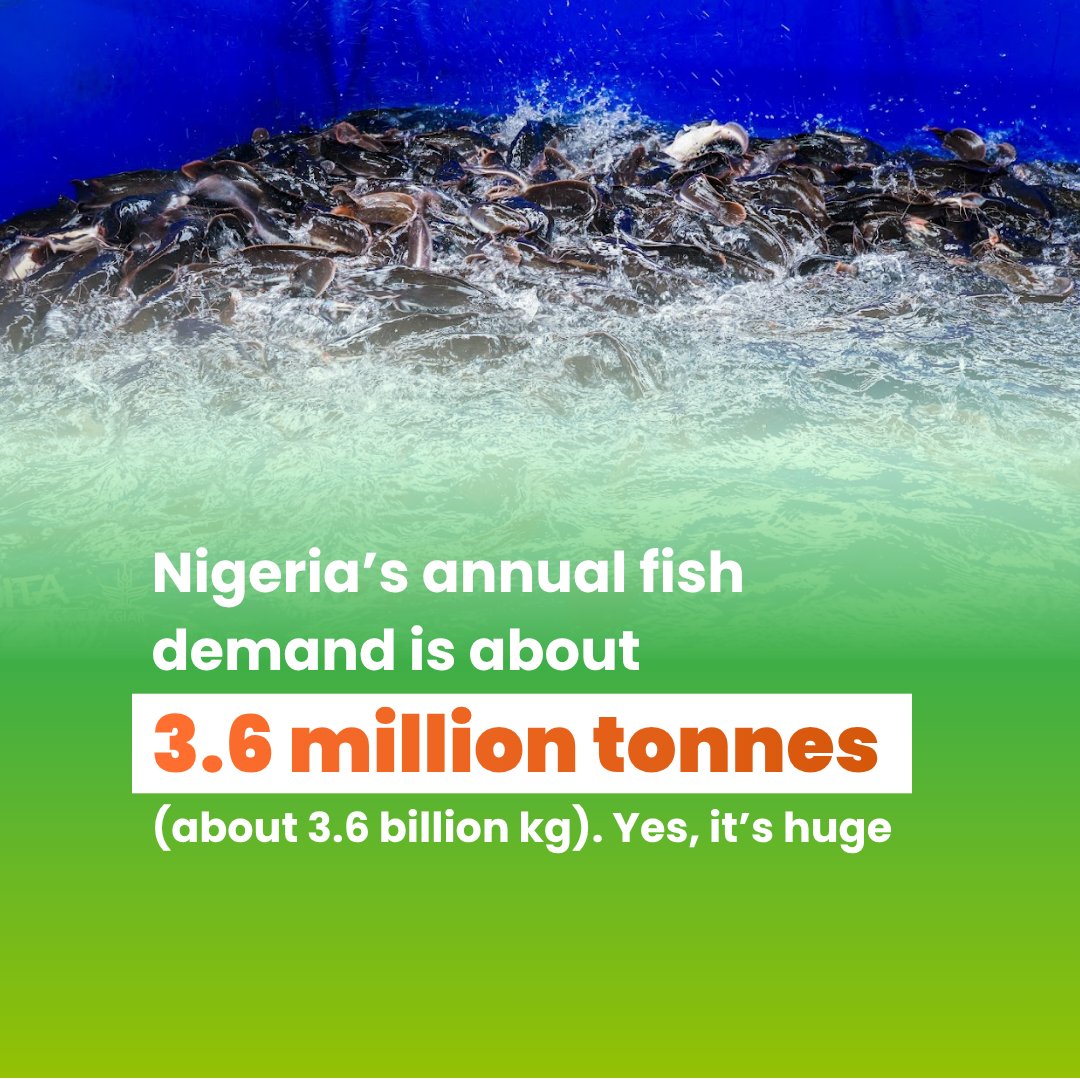 IITA Youth Agrip tweet media