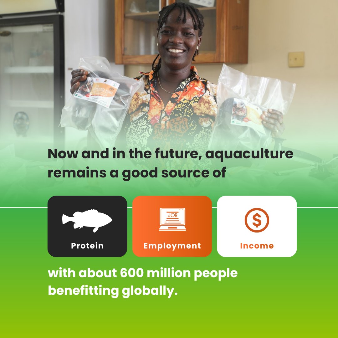 IITA Youth Agrip tweet media