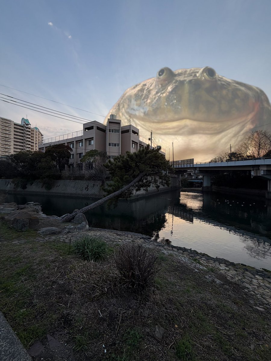 でっかいカエル tweet media