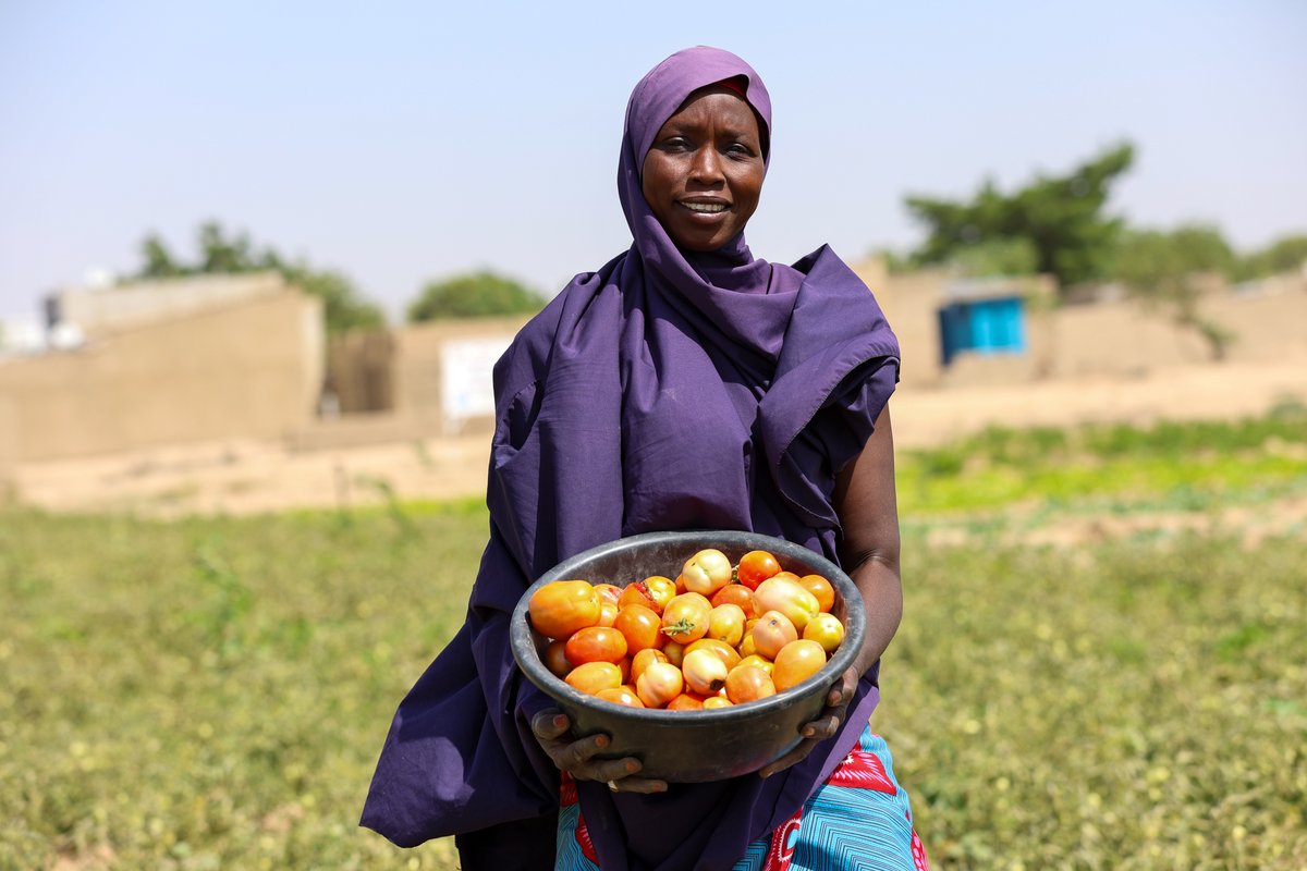 WFP Nigeria tweet media
