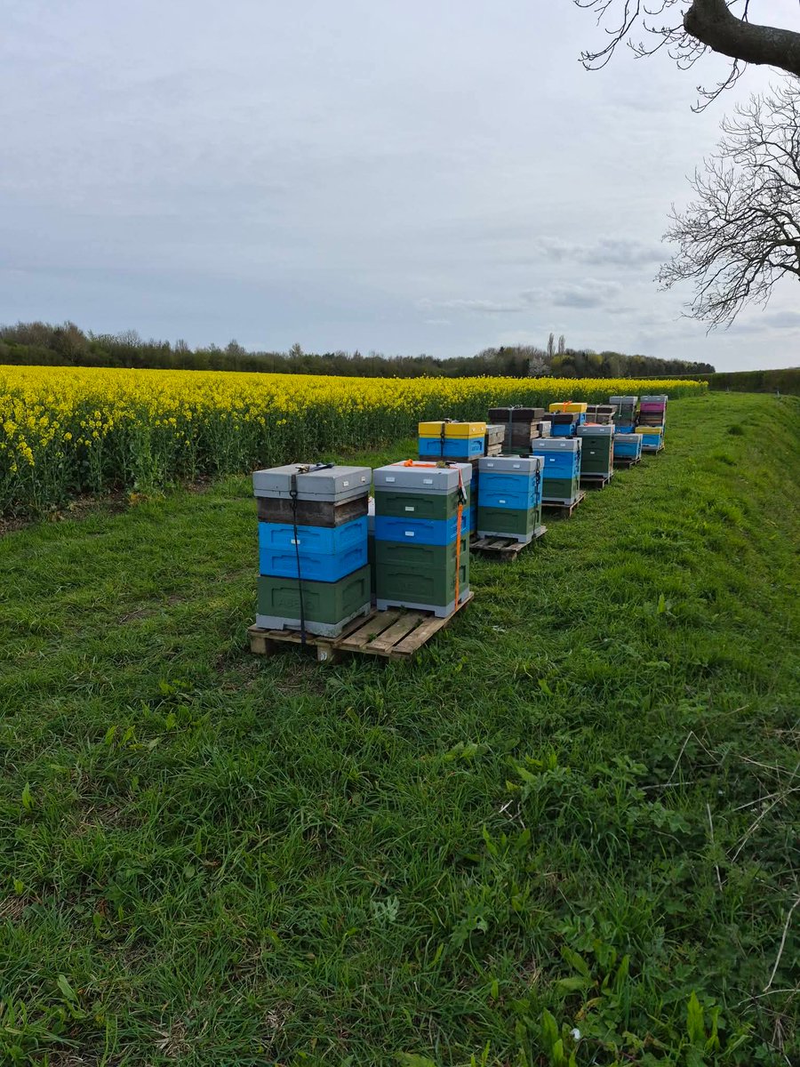 eve_bees's tweet image. gill-evehoneybees.co.uk
#LincsConnect #thecraftersuk #SmallBusiness