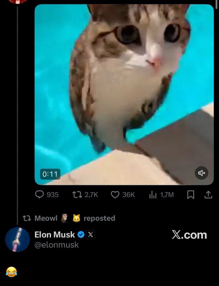 Keilifa tweet media