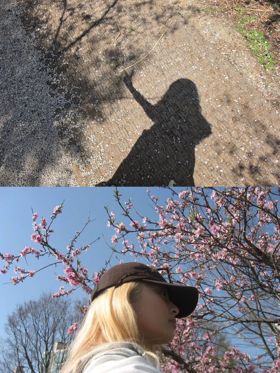 노니ଳ tweet media