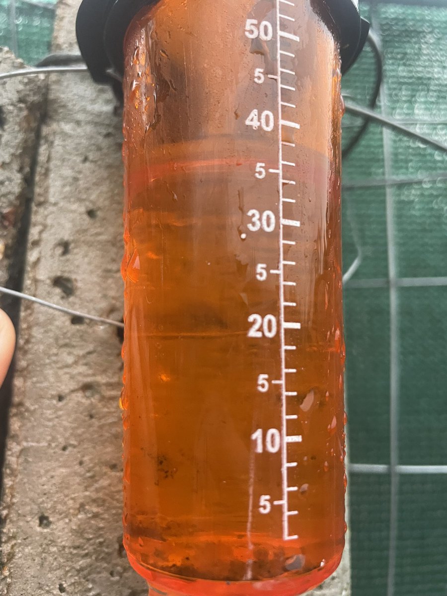 Fabia Fernandez tweet media