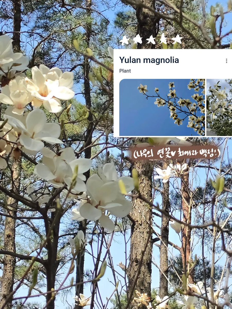 노니ଳ tweet media