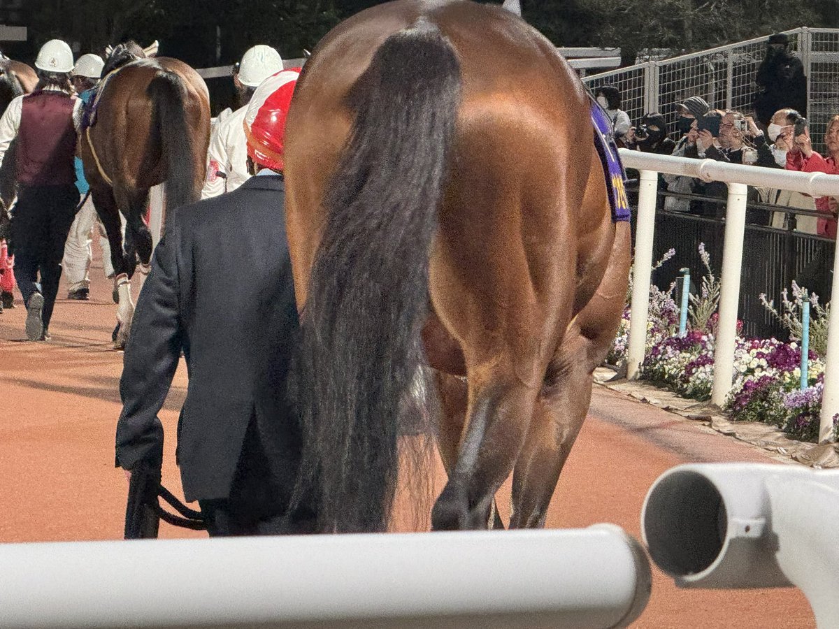 ちゅるこ tweet media