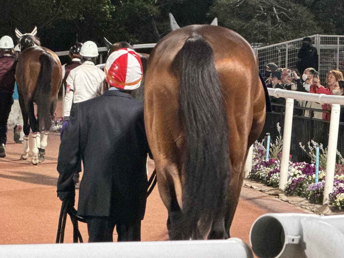 ちゅるこ tweet media