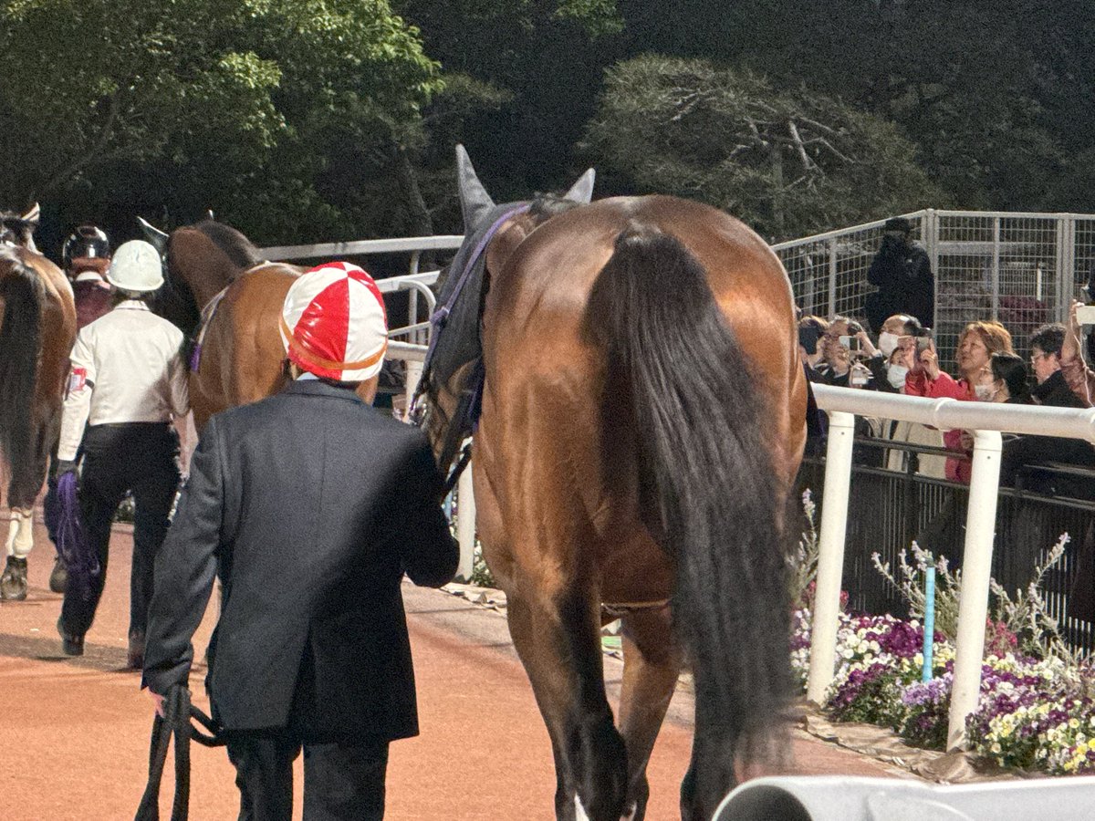 ちゅるこ tweet media