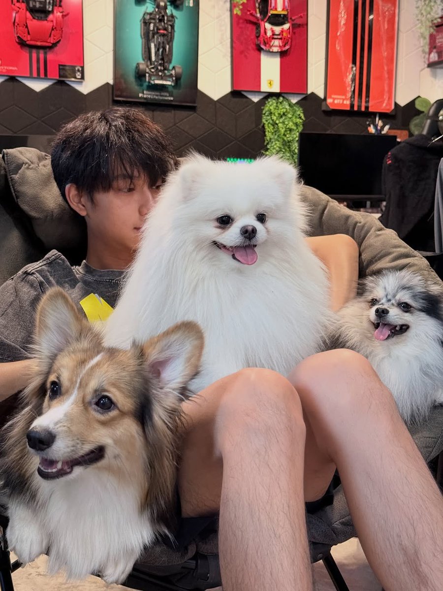 riiirong🐈‍⬛♡‧₊˚ tweet media