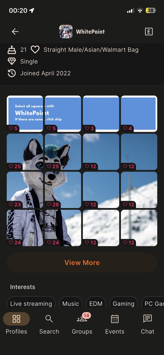 WhitePoint | The Local Arctic Fox tweet media