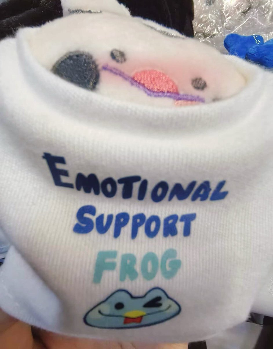 KStoooone's tweet image. #Fizzarozzie #HelluvaBoss 🐸👕