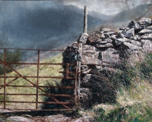 helen warlow tweet media