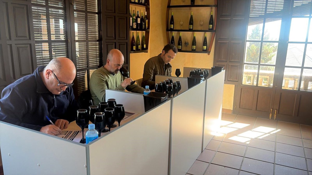 MoVinoDO's tweet image. El Condado de Huelva califica la cosecha 2025 como “muy buena” pese a una campaña marcada por el mildiu
goo.su/7IN3k9F
#vino #vinoDO #DenominacióndeOrigen #Huelva @Dop_CdoHuelva