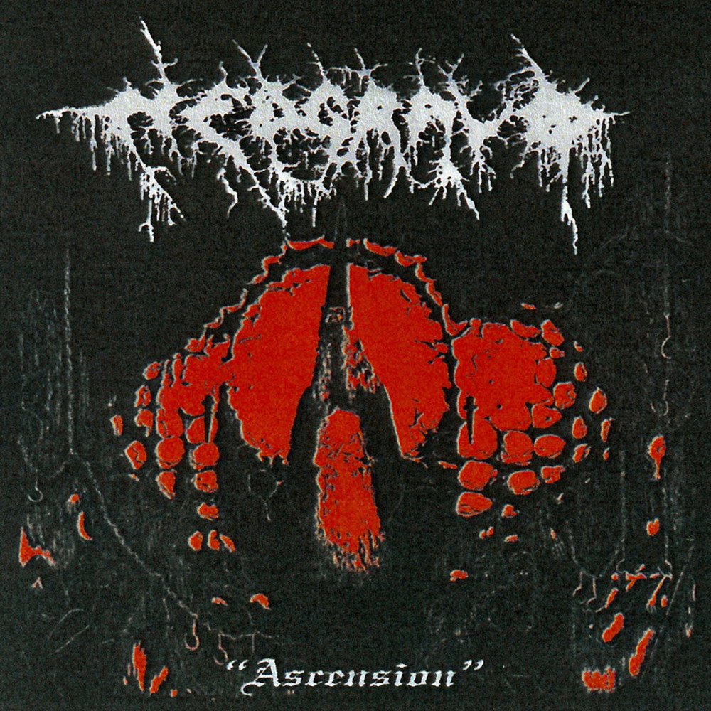 DMTMPromo's tweet image. Nedgravd
#deathmetal 🇧🇻
instagram.com/nedgravd_band
Album: Ascension — CD &amp;amp; Cassette out May 14th, 2026 via Headsplit Records. 
nedgravd.bandcamp.com/album/ascension