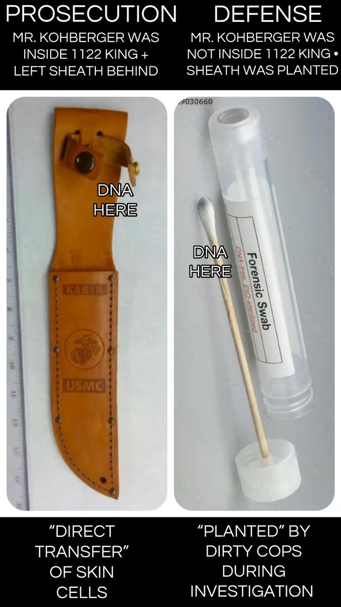 𝐓 𝐄 𝐃 tweet media