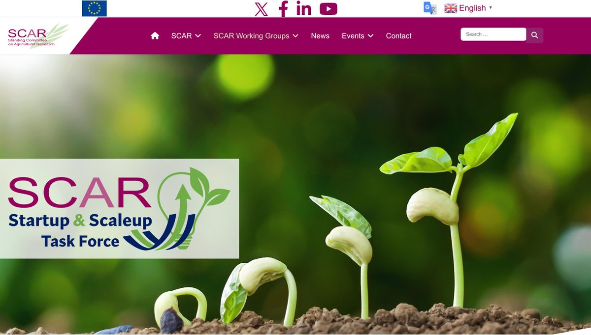 RefreSCAR_'s tweet photo. 🚀 The SCAR Startup &amp; Scaleup Task Force has a new homepage!
Bridging the gap between R&amp;I and market deployment in agri-food, forestry &amp; rural areas 🌱
Discover the Task Force's aims, approach and Co-chairs here🔗 https://t.co/AGtmTdj0ol https://t.co/hsB8tYfm5n