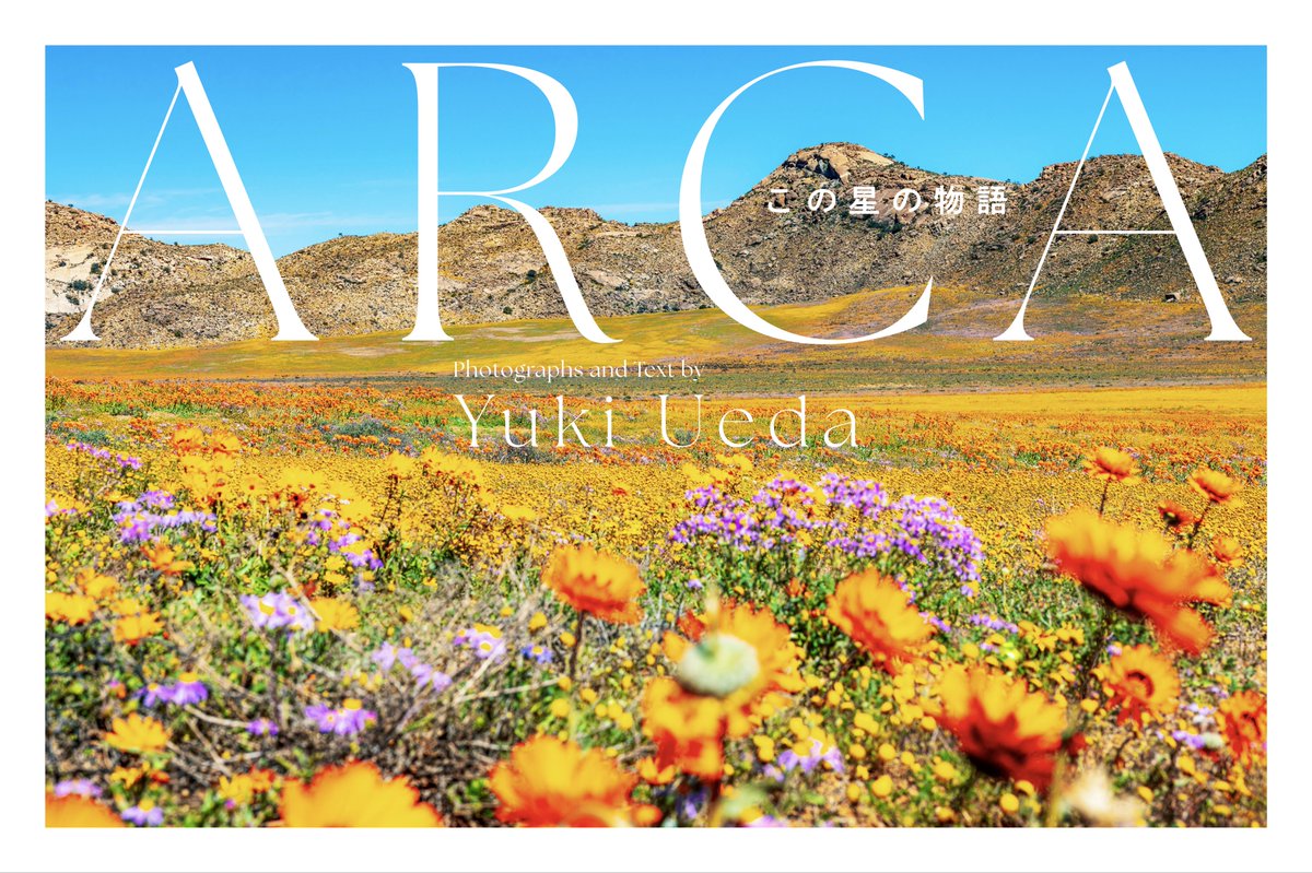 上田優紀 / 写真家 tweet media