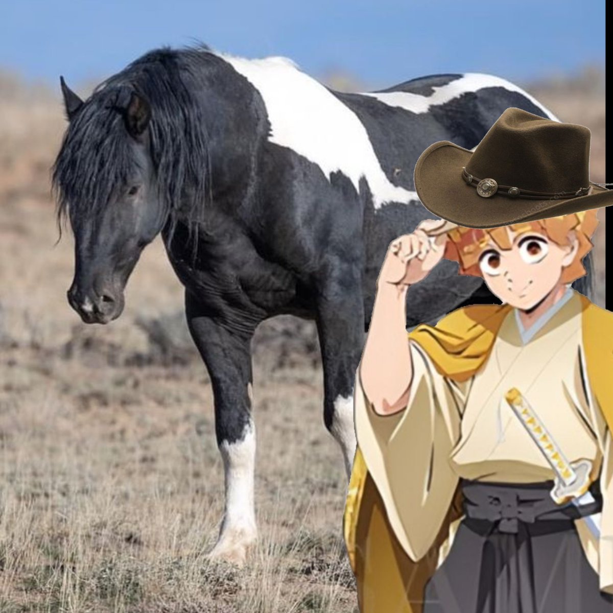 ⚡Zenitsu, Brazen (Slow replies)⚡ tweet media