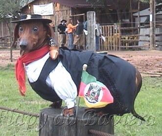 ⚡Zenitsu, Brazen (Slow replies)⚡ tweet media