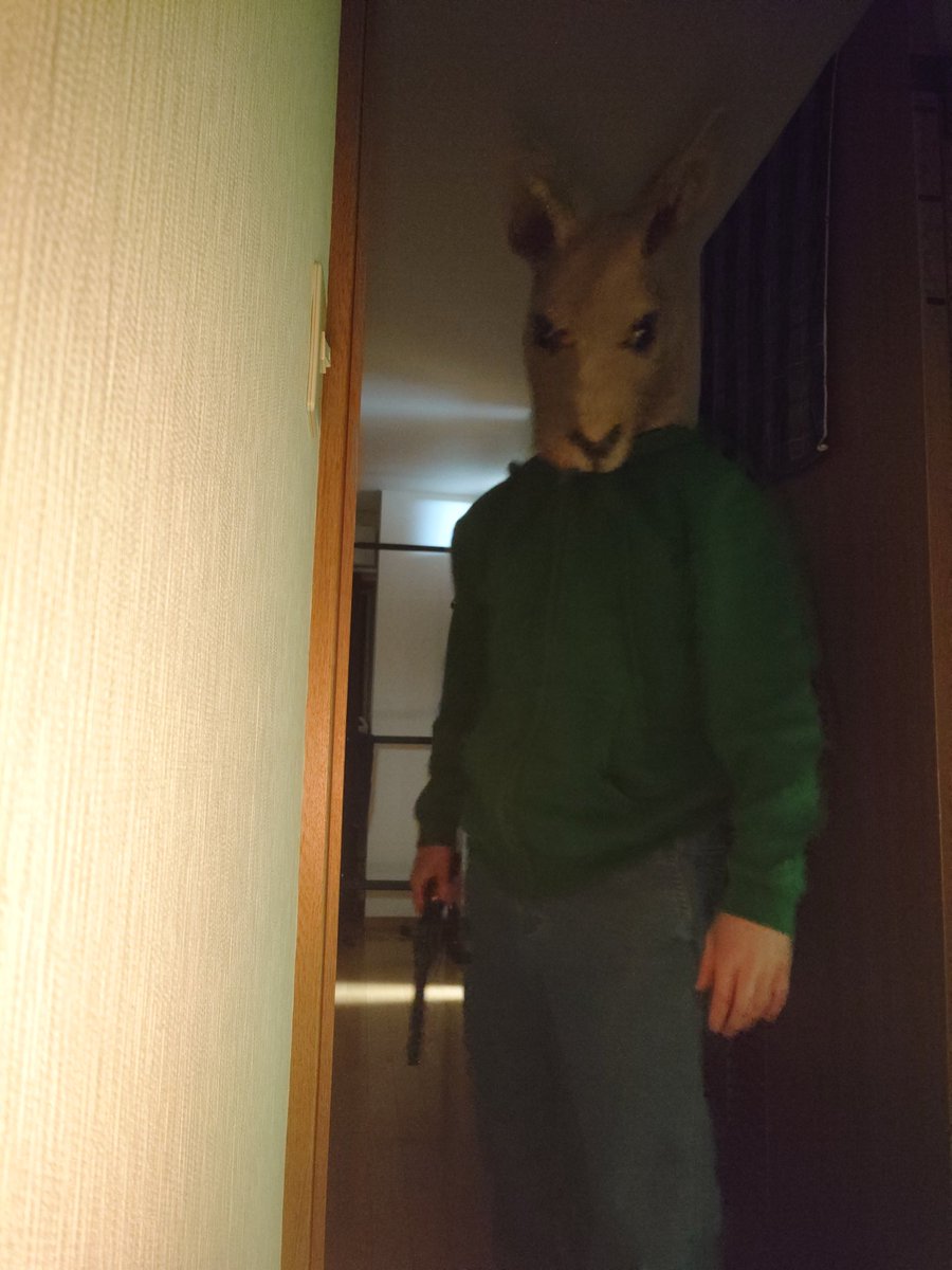 チャンガルー tweet media