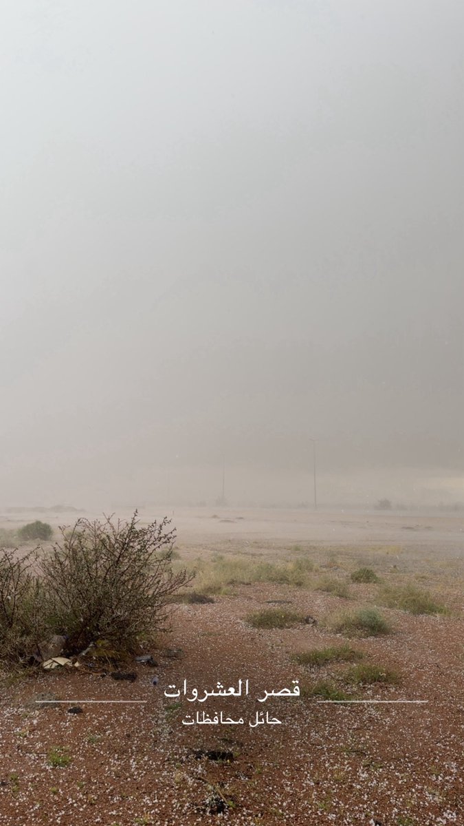 nor78788's tweet photo. https://t.co/7JymCLRumT