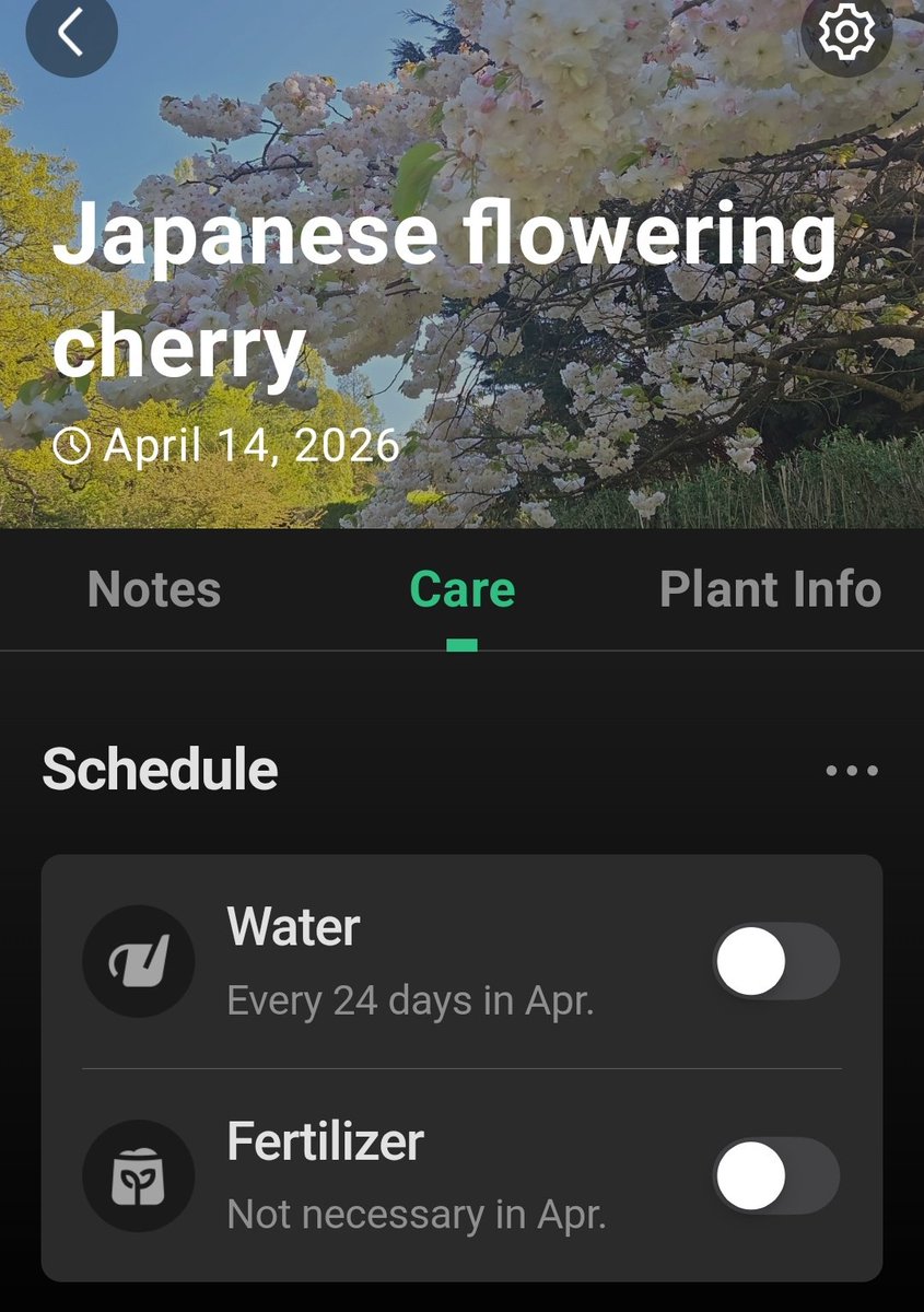 motoko gram tweet media