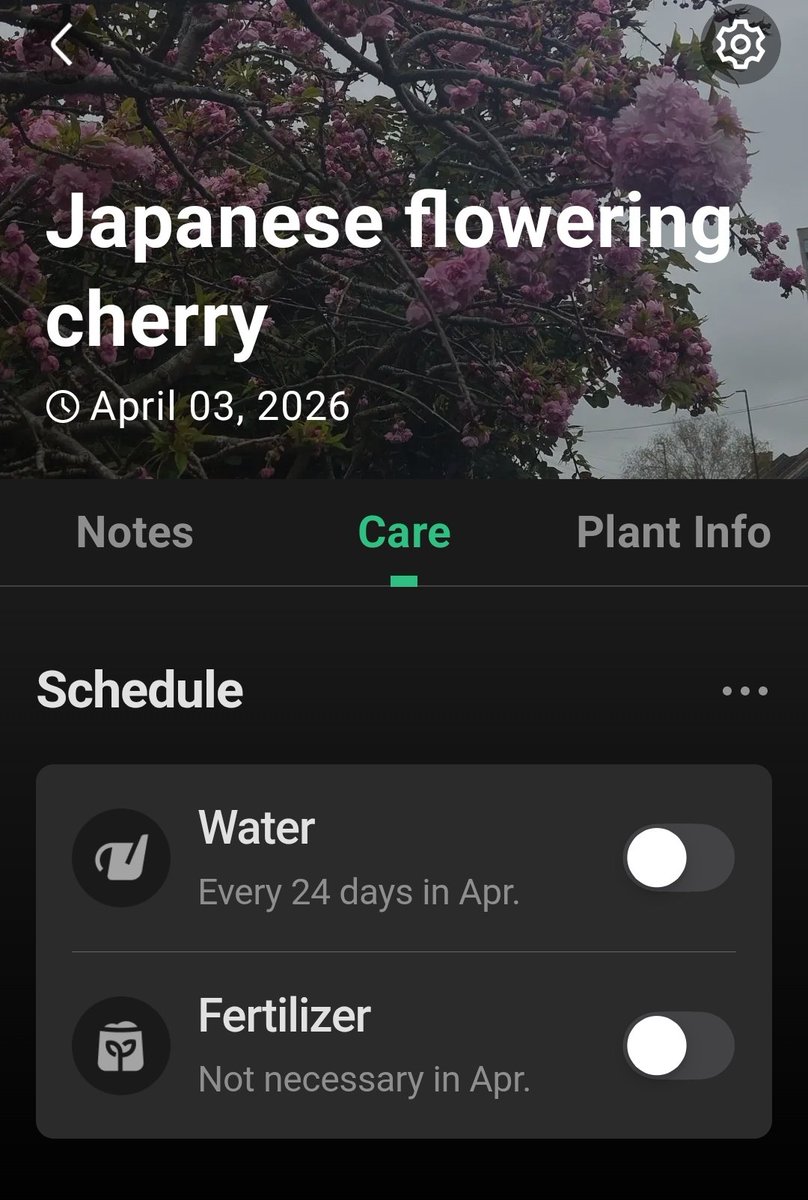 motoko gram tweet media