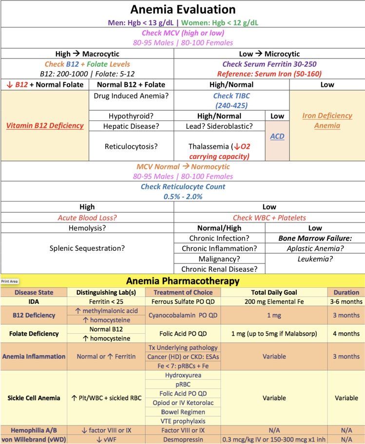 ManualOMedicine's tweet image. Anemia Evaluation

#medtwitter #foamed #meded