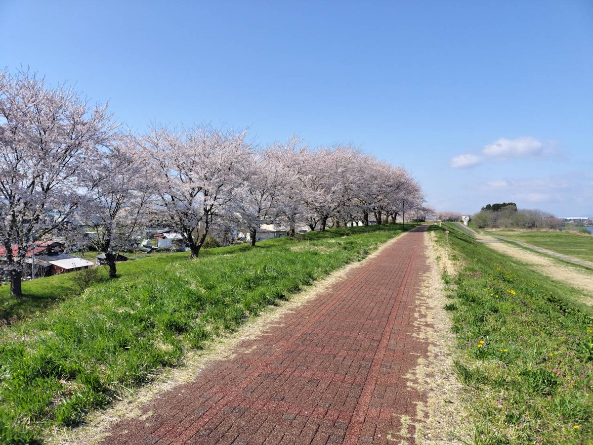 Atelier Grace✝(アトリエグラース) tweet media