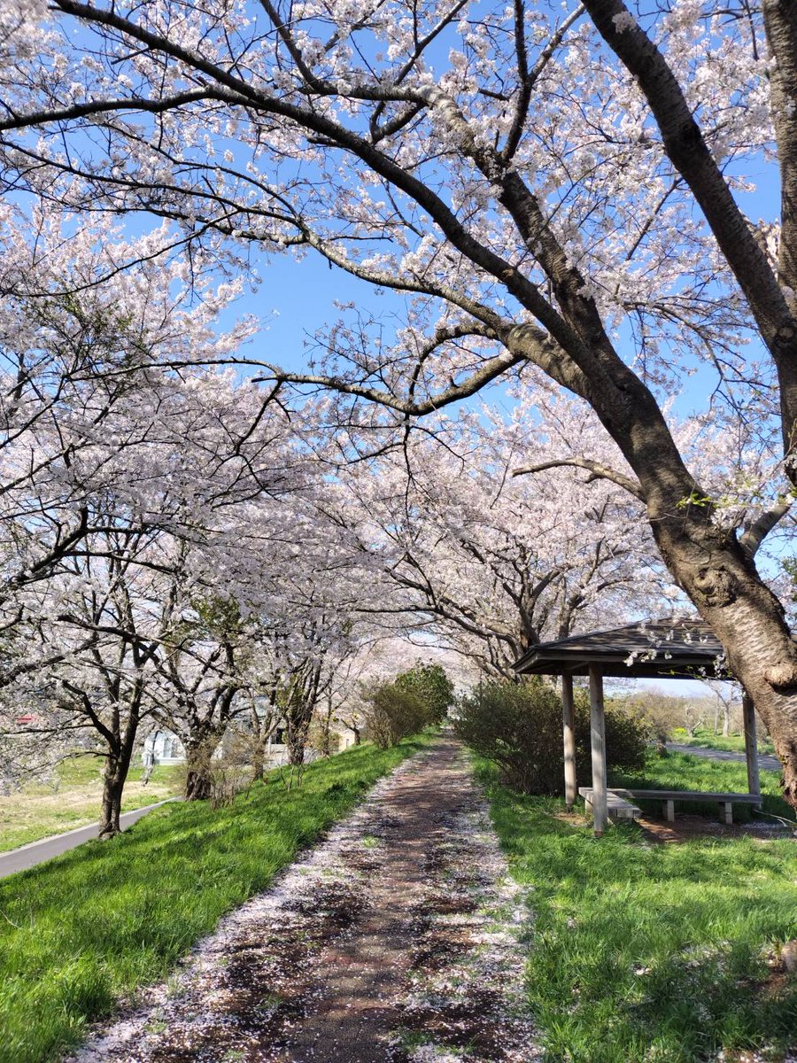 Atelier Grace✝（アトリエグラース） tweet media