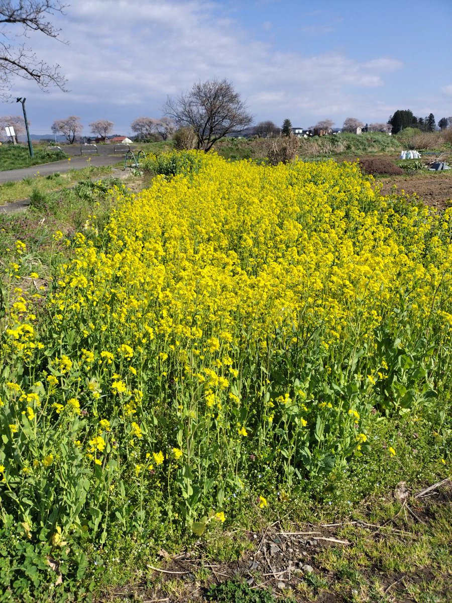 Atelier Grace✝(アトリエグラース) tweet media